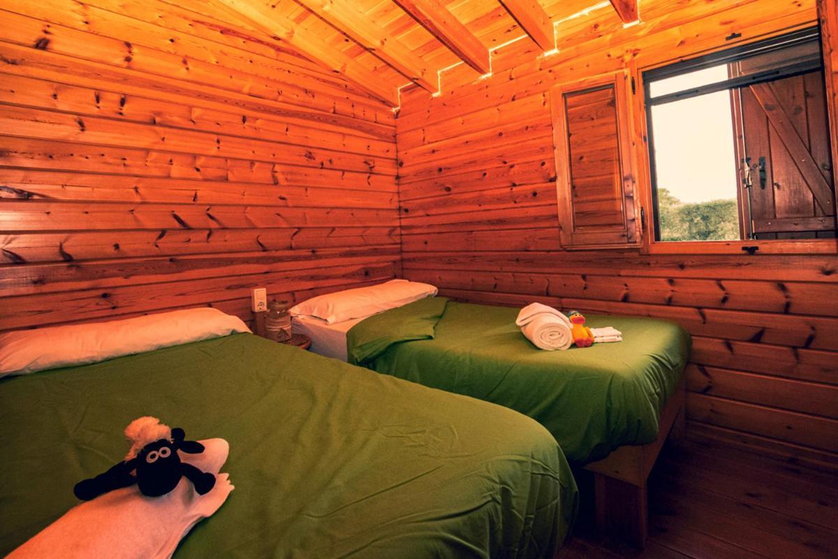 Ecologic Vinyols Camp Hotel Vinyols i Els Arcs Luaran gambar