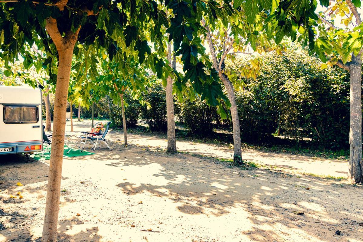 Ecologic Vinyols Camp Hotel Vinyols i Els Arcs Luaran gambar